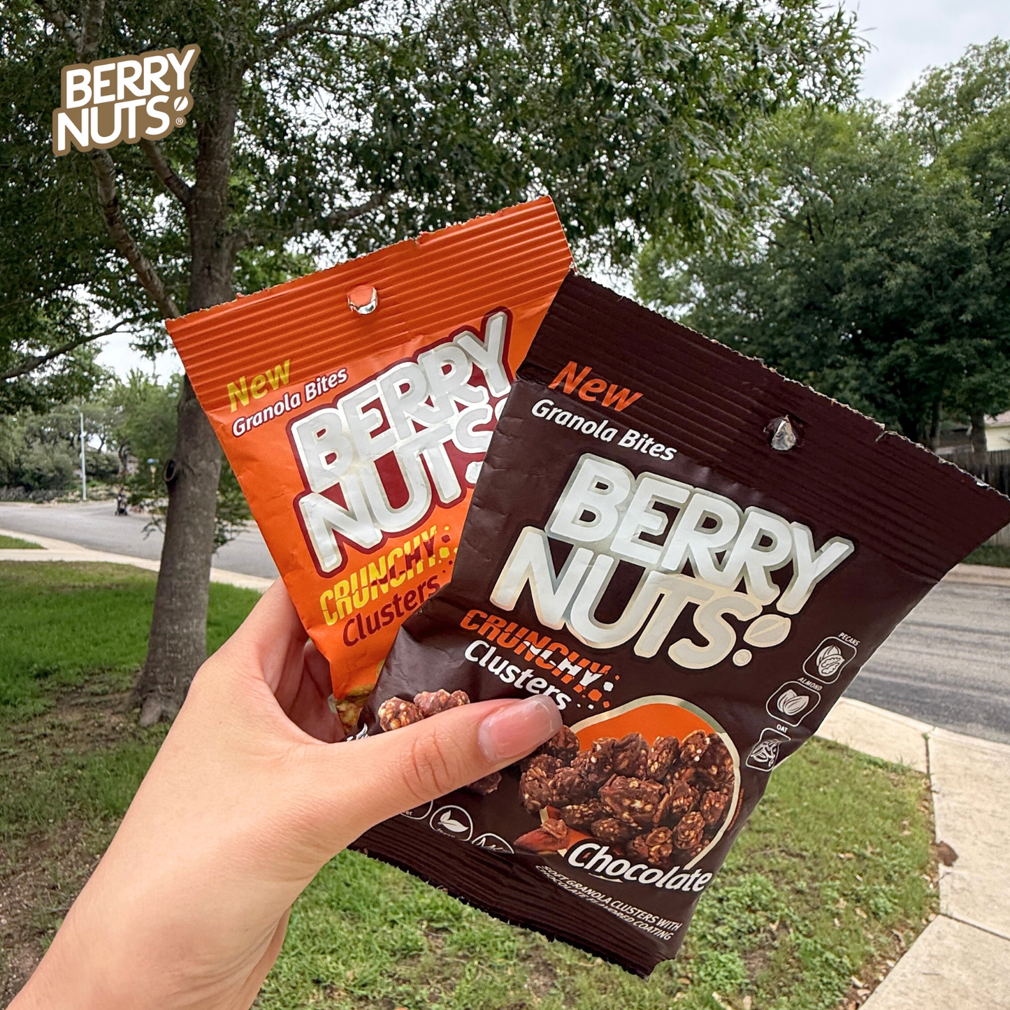 Crunchy Clusters® Berry Nuts® Sabor Mix Pretzel 75g