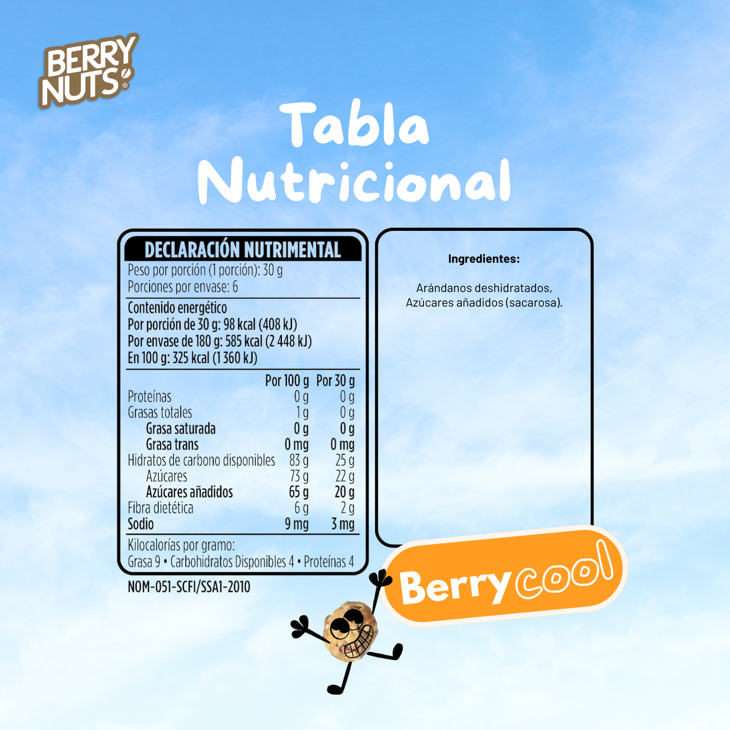 Arándanos Deshidratados Naturales