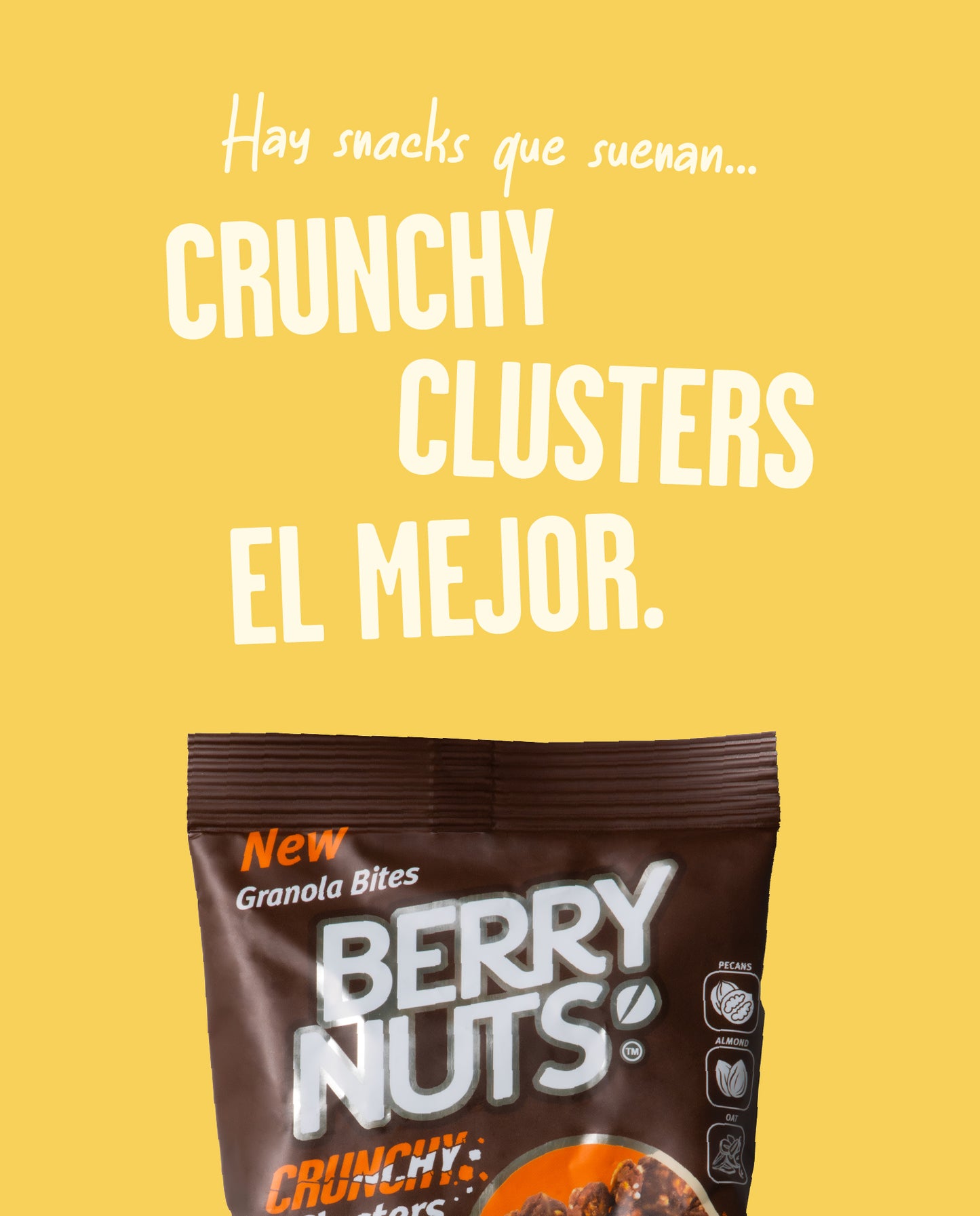 Berry Nuts® Crunchy Clusters® sabor Chocolate 75g
