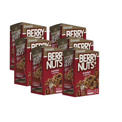 Snacks de Granola Berry Nuts® con Arándano y Almendra de 25g (6 Pack)