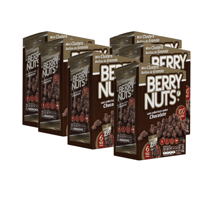 Snacks de Mini Clusters® de Granola Berry Nuts® sabor Chocolate de 25g (6 Pack)