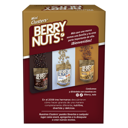 Six Pack Clusters® Mix con Pretzel 25g c/u